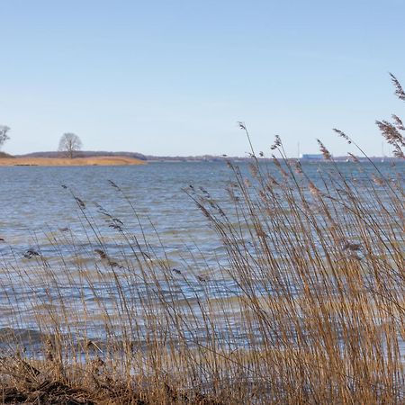 Ferienhaus Vor Ruegen Sundhagen-Niederhof Kültér fotó